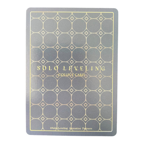 Cha Hae-In & Choi Jong-In SL1E-079 SR – Solo Leveling Collect Card