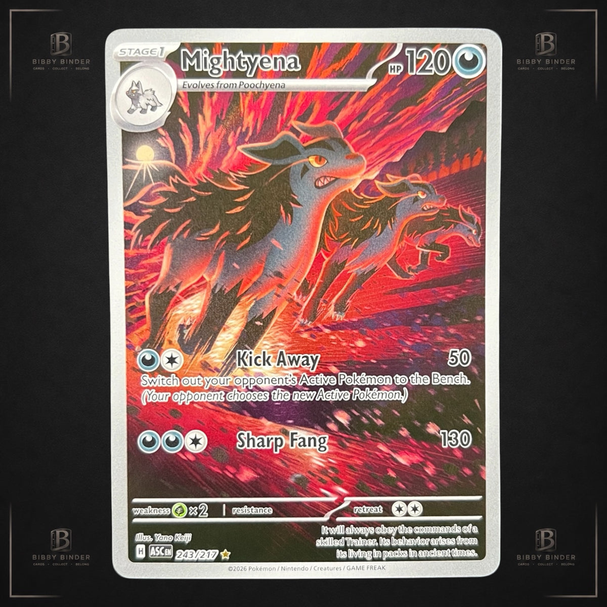 Mightyena 243/217 – Ascended Heroes – Illustration Rare – Pokémon