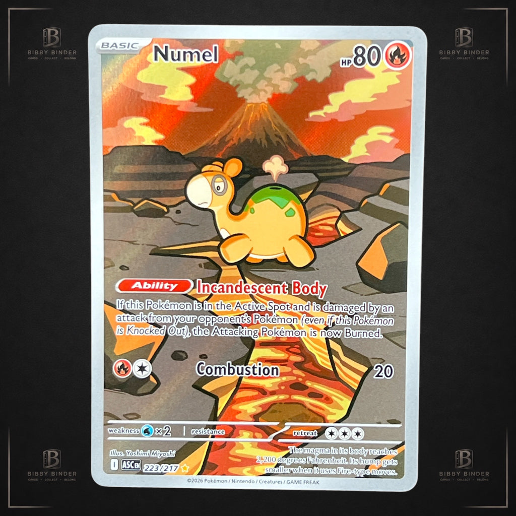 Pokémon Numel 223/217 Illustration Rare Ascended Heroes