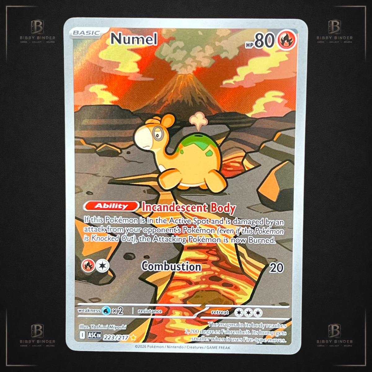 Pokémon Numel 223/217 Illustration Rare Ascended Heroes